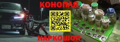 СК Волгодонск